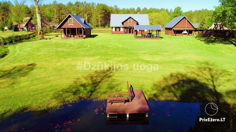 Sēta Dzukijos uoga gandrīz Druskininkai