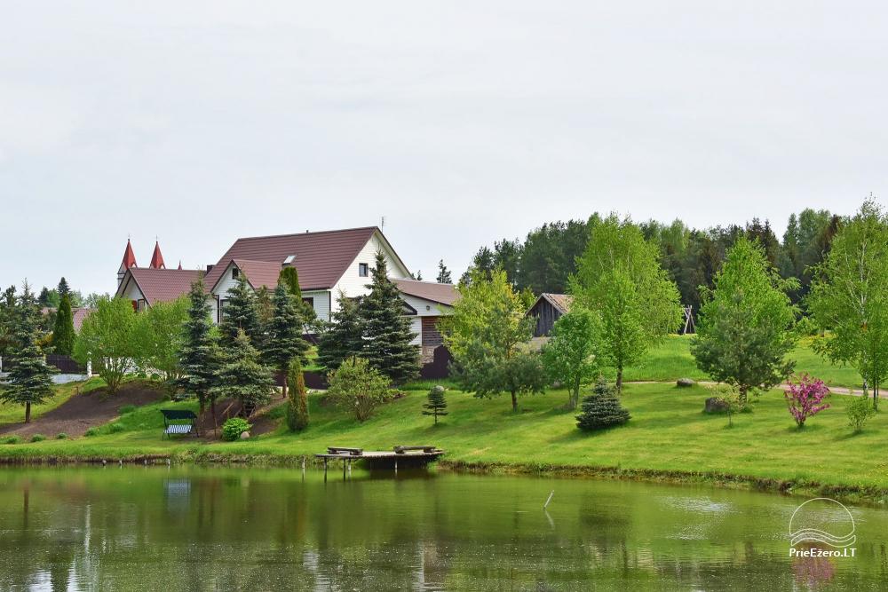 Brīvdienu mājas un pirts ezera krastā, māja ar zāli - sēta Nijolė un Henrikas Zubrickų sodyba - 43