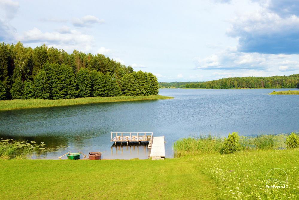 Brīvdienu mājas un pirts ezera krastā, māja ar zāli - sēta Nijolė un Henrikas Zubrickų sodyba - 31