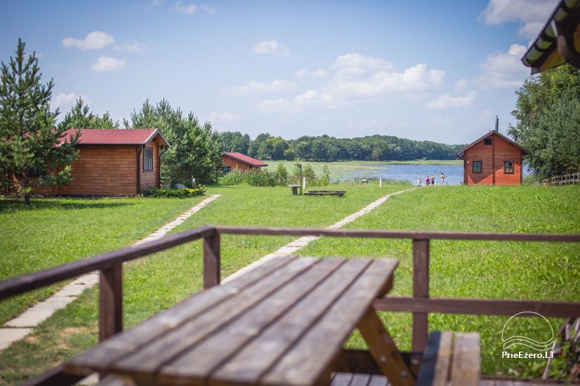 Priežu ieleja - lauku viensēta pie Galuonas ezera Lietuvā - 1
