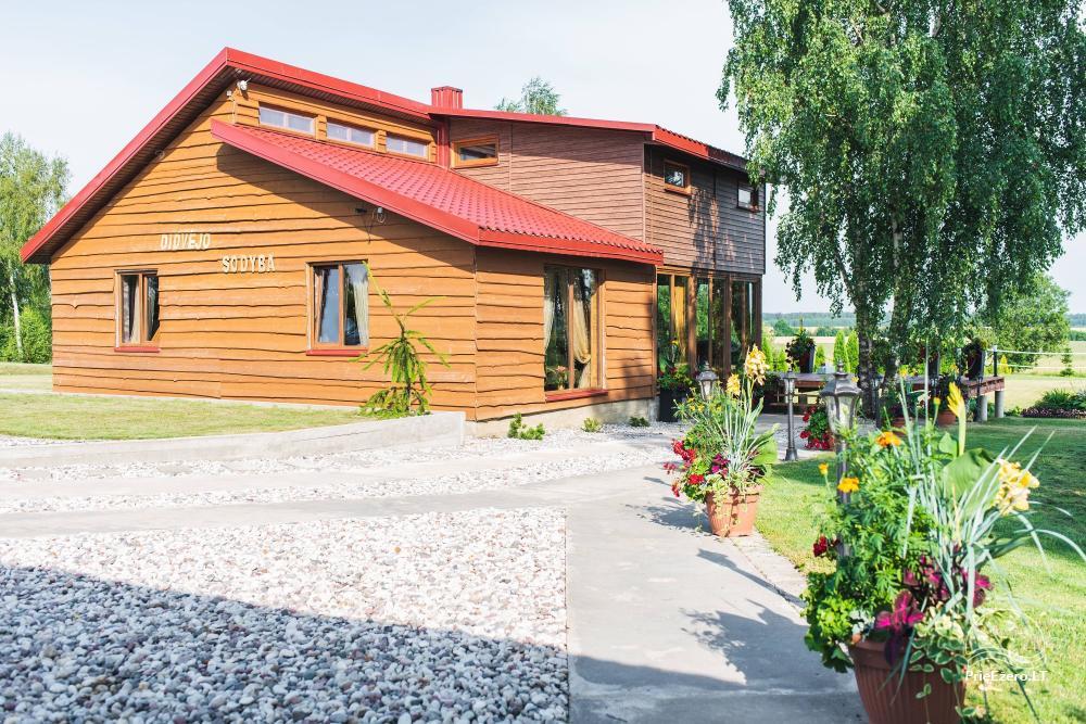 Lauku sēta Didvejo ar dīķi pagalmā - 1