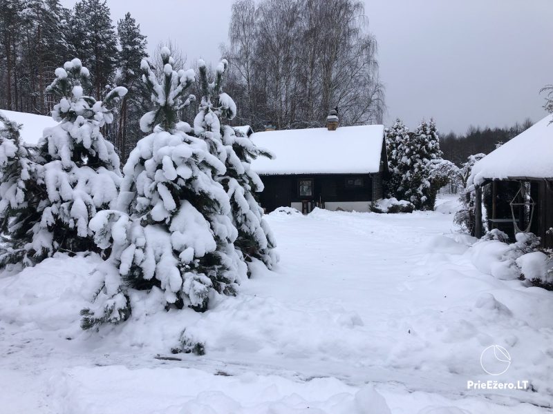 Lauku sētas īre. Nomā vienai ģimenei vai draugu kompānijai.