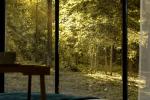 Meža terapija - vieta privātai, ērtai, mājīgai atpūtai pie dabas - 5
