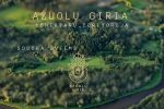 Viensēta Ažuolu giria - 3