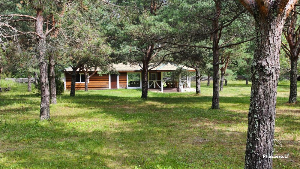 Brižių lauku sēta. Pirts, kubls - 1