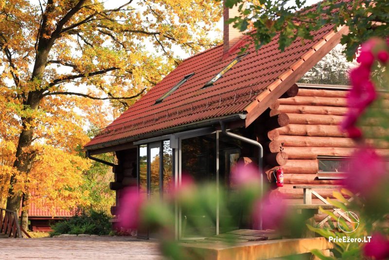 Lauku sēta īrei Desmit bērzi