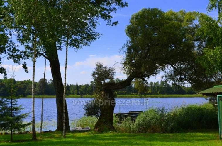 Plosts burāšana, makšķerēšana, sporta laukumi, kas sētā Galuonų sodyba - 8