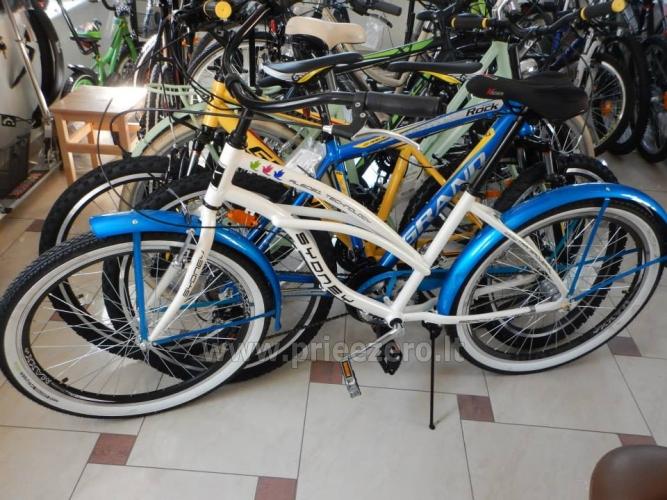 Mirasta - velosipēdi īre Druskininkos - 1