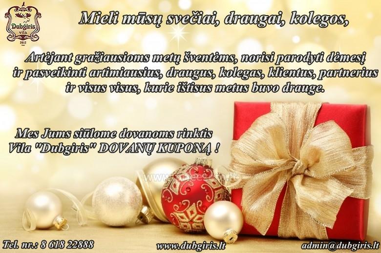 Villa Dubgiris ar ezera Plinkšiai