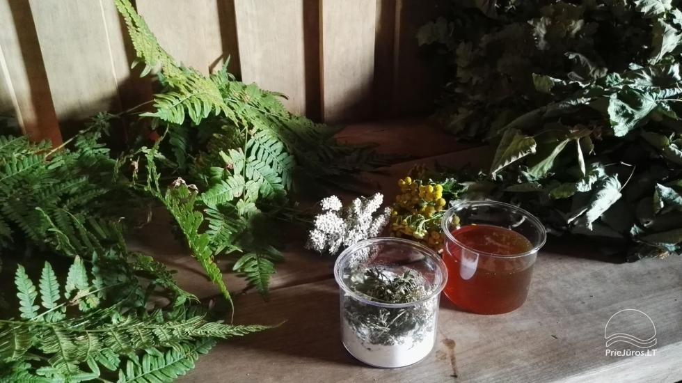Pirts rituāli, SPA atpūta Jūrkalnē, Ventspils rajonā Meža SPA & Apartments - 6