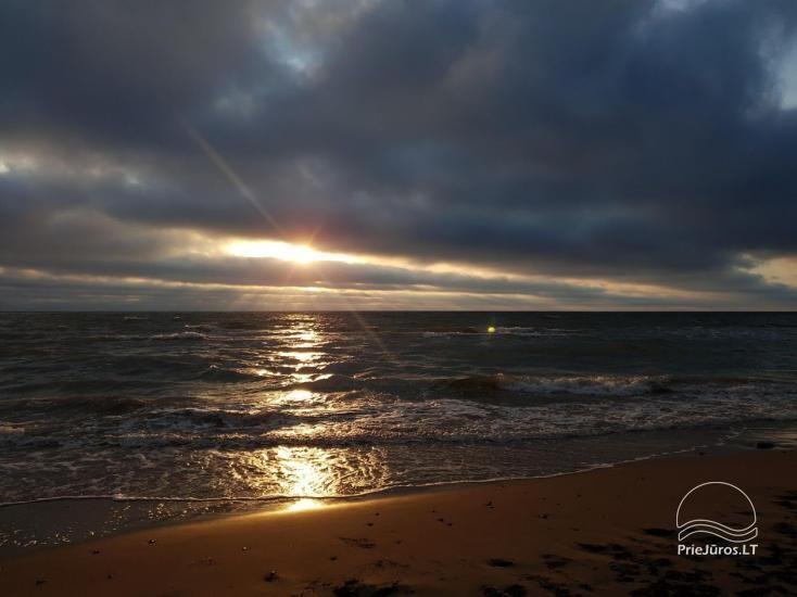 Pirts rituāli, SPA atpūta Jūrkalnē, Ventspils rajonā Meža SPA & Apartments - 33