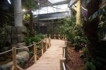 Kauņas zoodārzs - 4