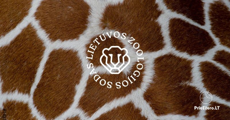 Kauņas zoodārzs