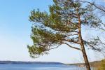 Novērošanas punkts Kaišiadoru rajona Mergakalnis - 4