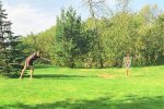 Disku golfs vsētā Akmeninė sala - 2
