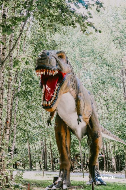 DINO parks kompleksā Radailių dvaras 7 km no Klaipēdas