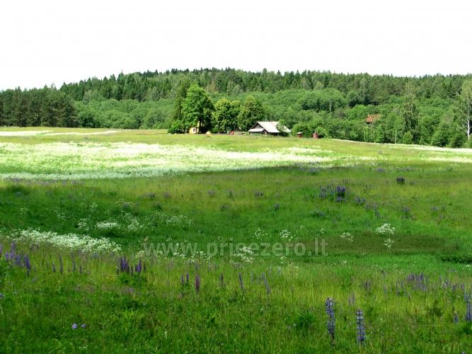 Lauku tūrisms pie upes - 10