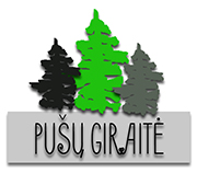 Koka karkasa māja ar saunu 6 personām "Pusu giraite"