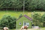Pušynas brīvdienu māja ar burbuļvannu un atsevišķu teritoriju - 1